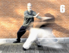 Dalü: Qigong-Taiji-Ausbildung Hannover PLZ-3